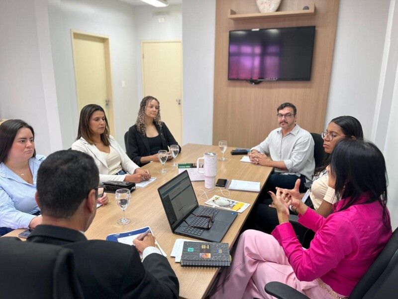 crcal-reune-comissoes-para-alinhar-planejamento-e-fortalecer-acoes-voltadas-a-classe-contabil